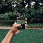 Beginner Tips for Taking Better Phone Photos