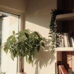 How to Create a Cozy Reading Corner at Home